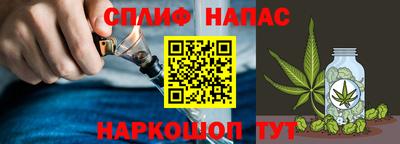 mdpv Малоярославец