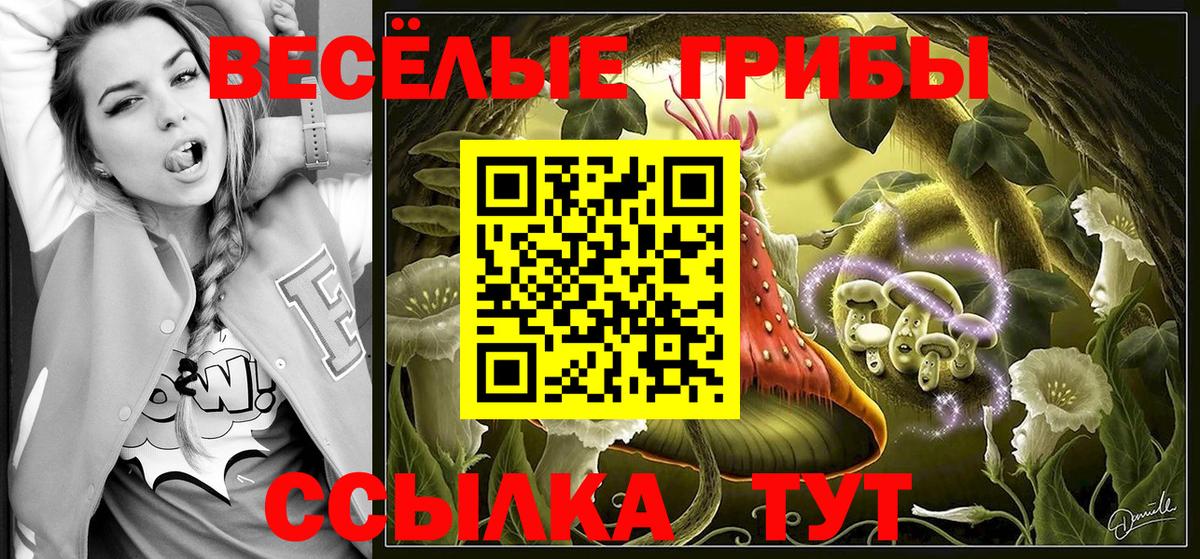 Галлюциногенные грибы Psilocybe  наркошоп  Бугуруслан  Вход с VPN 